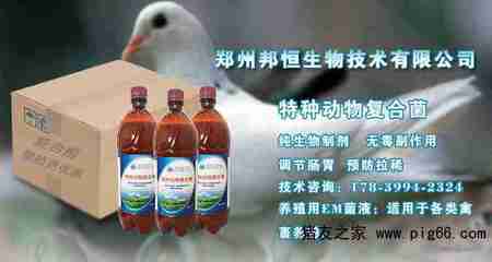 養(yǎng)雞用的益生菌使用方法竟然這么簡(jiǎn)單——生物技術(shù)走進(jìn)養(yǎng)殖戶(hù)